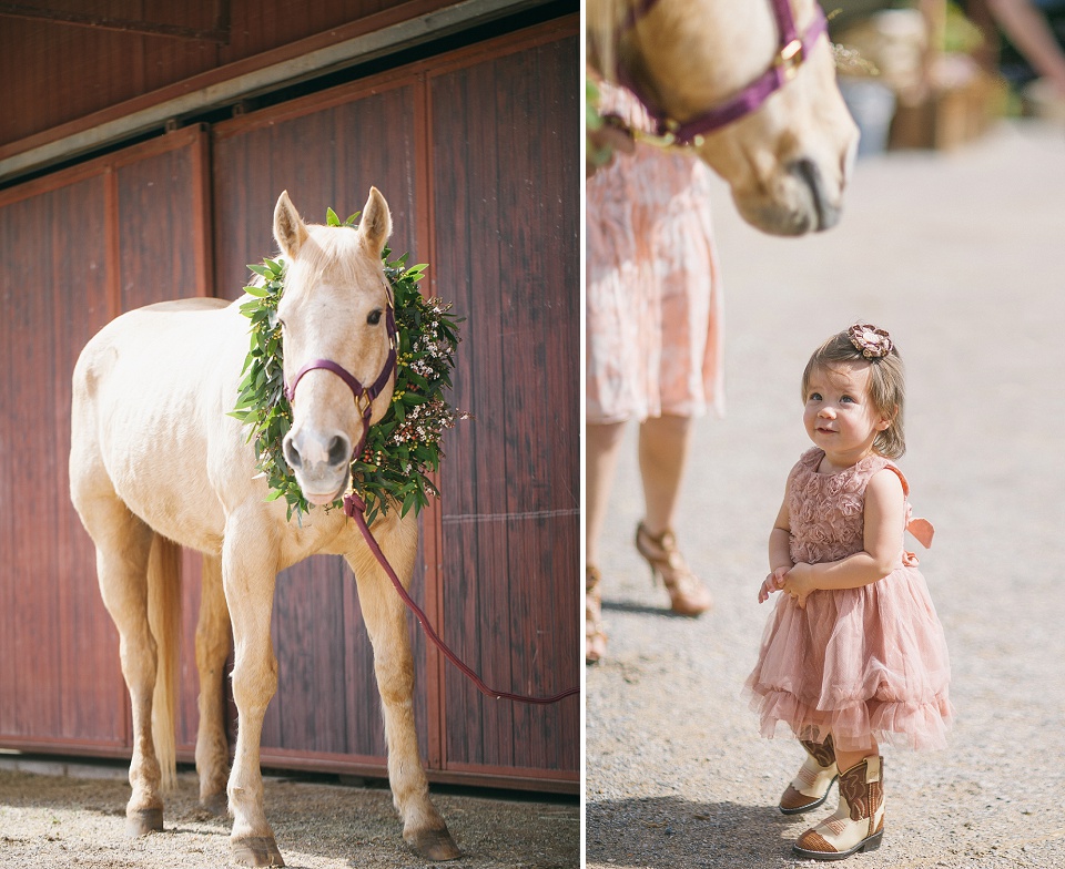 016-Pferde-Hochzeit-Forma-Photography
