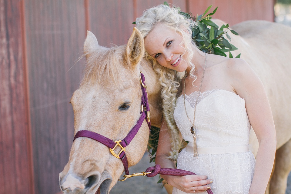 Hochzeit mit Pferde