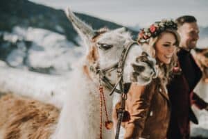 After Wedding Shooting, Zillertal, Brautpaar, Lamas
